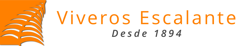 autoGestión